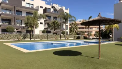 Pis – Orihuela - Vista 3