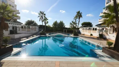 Pis – Torrevieja, La Mata - Vista 3