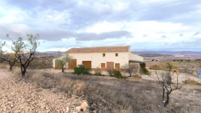 Rustic Finca in Yecla photo 4