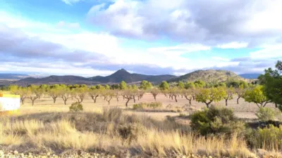 Rustic Finca in Yecla photo 7