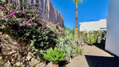 Villa in Algorfa photo 23