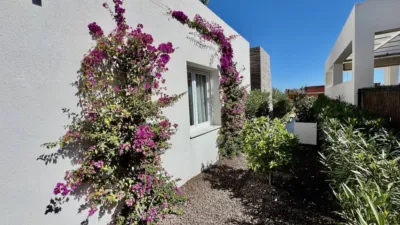 Villa in Algorfa photo 24