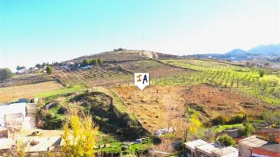 Apartment in Torredelcampo photo 12