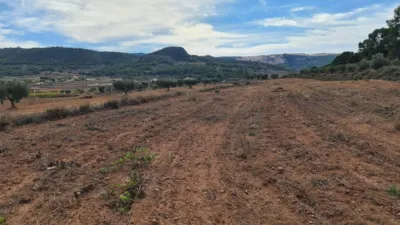 Terreno en venta en El Pinós - Pinoso - Vista 2