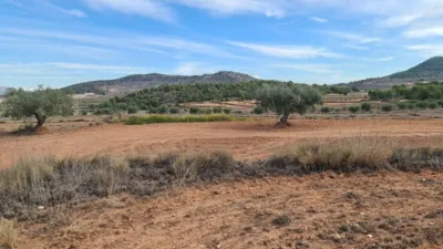 Terreno en venta en El Pinós - Pinoso - Vista 3