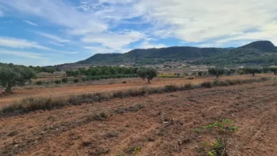 Terreno en venta en El Pinós - Pinoso - Vista 4
