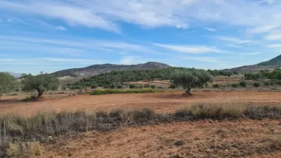 Terreno en venta en El Pinós - Pinoso - Vista 5