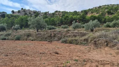 Terreno en venta en El Pinós - Pinoso - Más