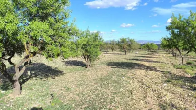 Terreno en venta en Caudete - Vista 2