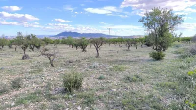 Terreno en venta en Caudete - Vista 3