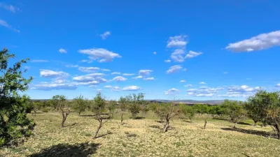 Terreno en venta en Caudete - Vista 5