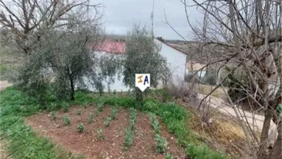 Rustic Finca in Cabra photo 14