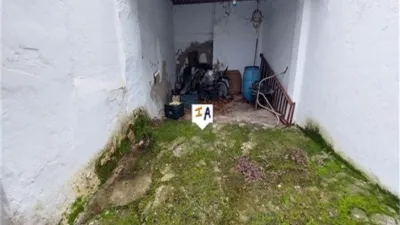 Rustic Finca in Cabra photo 6