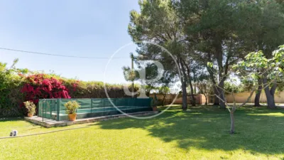 House in Campos photo 33