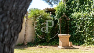 House in Campos photo 37