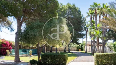 House in Campos photo 42