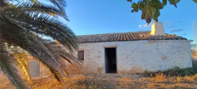 Rustic Finca in Yecla photo 2