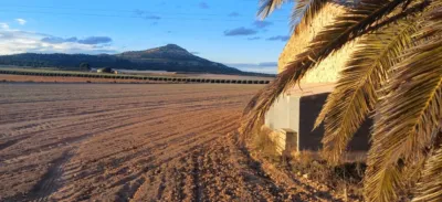 Rustic Finca in Yecla photo 5