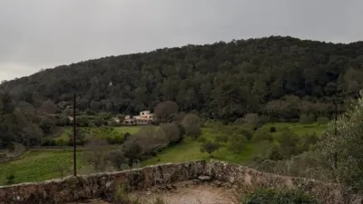 Finca rústica en Santa Eugènia photo 27