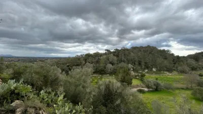 Finca rústica en Santa Eugènia photo 39