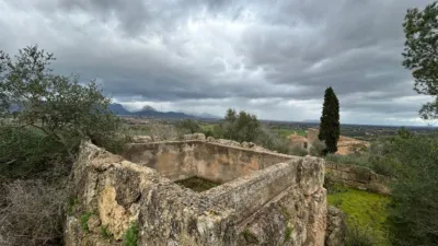 Rustic Finca in Santa Eugènia photo 3