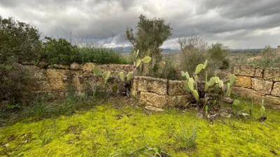 Finca rústica en Santa Eugènia photo 41