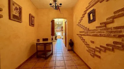 Apartment in El Pinós - Pinoso photo 11