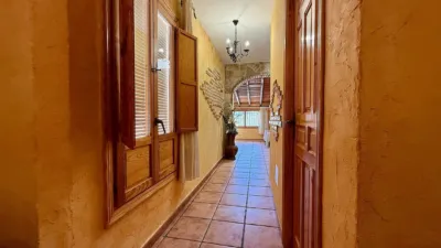 Apartment in El Pinós - Pinoso photo 12