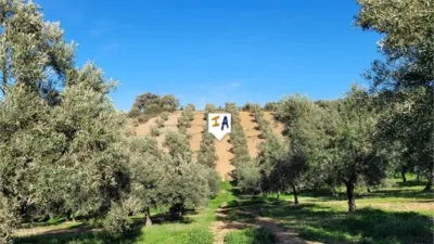Rustic Finca in Osuna photo 14
