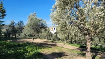 Rustic Finca in Osuna photo 15