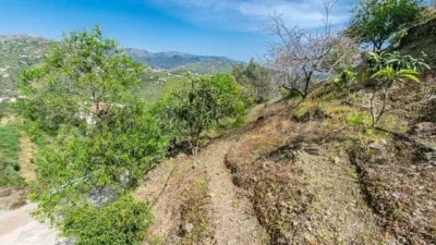 Rustic Finca in Sayalonga photo 18