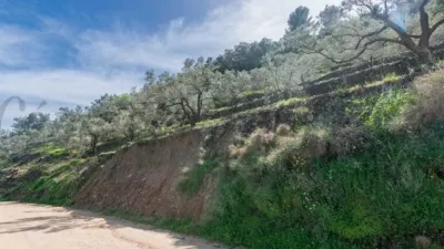 Rustic Finca in Sayalonga photo 19