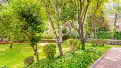 Apartamento en Mirasierra-Arroyo del Fresno photo 46