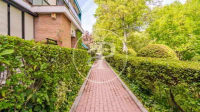Apartamento en Mirasierra-Arroyo del Fresno photo 50