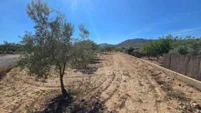 Terreno en venta en Salinas - Vista 3