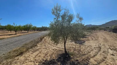 Terreno en venta en Salinas - Vista 4