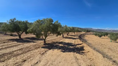 Terreno en venta en Salinas - Vista 5