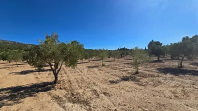 Terreno en venta en Salinas - Más