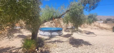 Rustic Finca in La Romana photo 19