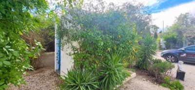 House in Aspe photo 31