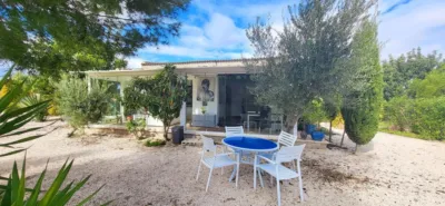 House in Aspe photo 42