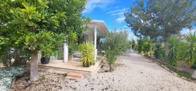House in Aspe photo 43