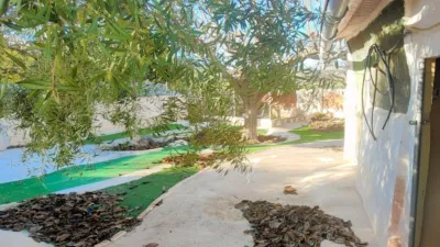 House in Aspe photo 33
