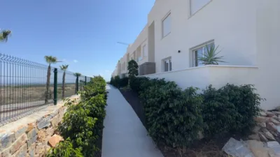 Apartment in Algorfa photo 20