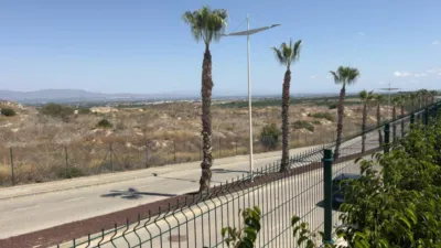 Apartment in Algorfa photo 21