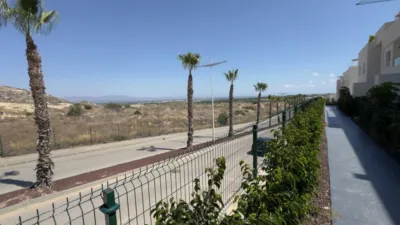Apartment in Algorfa photo 22