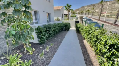 Apartment in Algorfa photo 28