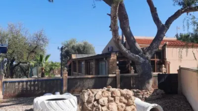 Casa – Elx - Elche - Más
