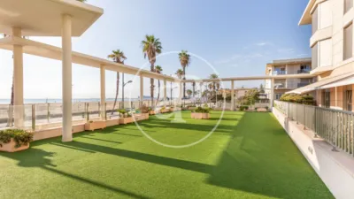Apartment in Alboraya photo 26