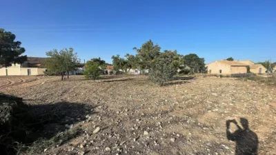 Terreno en venta en El Pinós - Pinoso - Vista 4